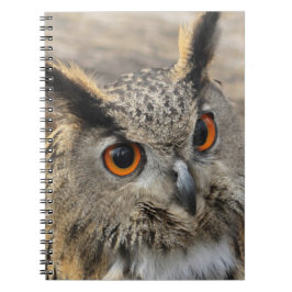 Fotografie van de uil notitieboek