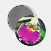 Fotografie van delicate orchideeënbloem magneet (Voorkant / Achterkant)