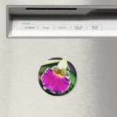 Fotografie van delicate orchideeënbloem magneet (Insitu (Vaatwasser))