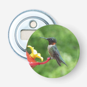 Fotografie van een robijnkeelkolibrie button flesopener