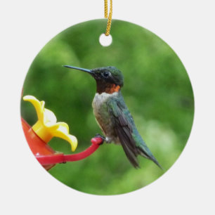 Fotografie van een robijnkeelkolibrie keramisch ornament
