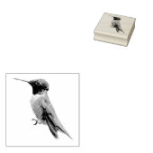 Fotografie van een robijnkeelkolibrie rubberstempel (Gestempeld)