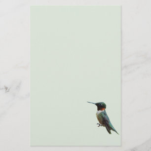 Fotografie van een roodkeelkolibrie briefpapier
