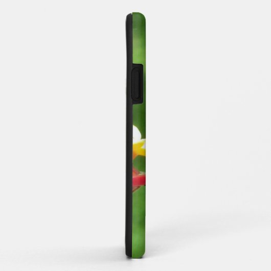 Fotografie van een roodkeelkolibrie Case-Mate iPhone case (Achterkant/rechts)