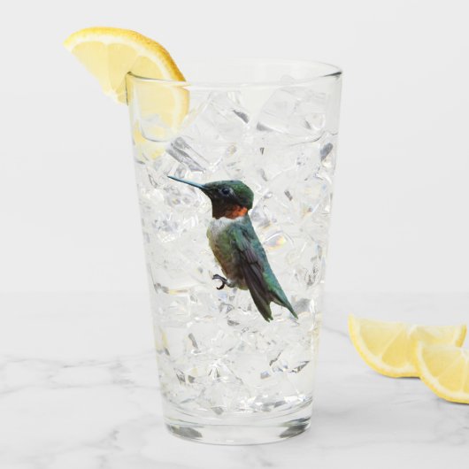 Fotografie van een roodkeelkolibrie glas (Voorkant ijs)