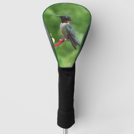 Fotografie van een roodkeelkolibrie golfheadcover (Voorkant)