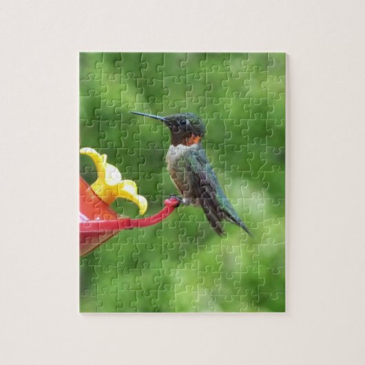 Fotografie van een roodkeelkolibrie legpuzzel (Verticaal)