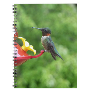 Fotografie van een roodkeelkolibrie notitieboek