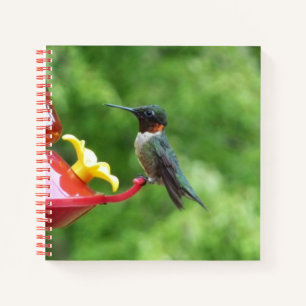 Fotografie van een roodkeelkolibrie notitieboek