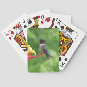 Fotografie van een roodkeelkolibrie pokerkaarten