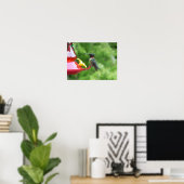 Fotografie van een roodkeelkolibrie poster (Thuiskantoor)