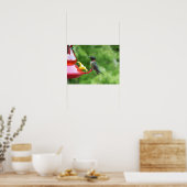 Fotografie van een roodkeelkolibrie poster (Keuken)