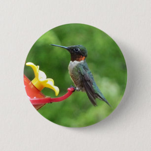 Fotografie van een roodkeelkolibrie ronde button 5,7 cm