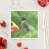 Fotografie van een roodkeelkolibrie servetten (Insitu)