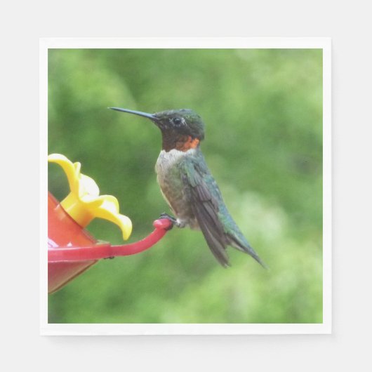 Fotografie van een roodkeelkolibrie servetten (Voorkant)