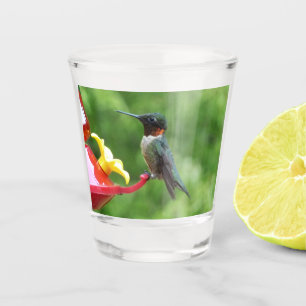 Fotografie van een roodkeelkolibrie shot glas