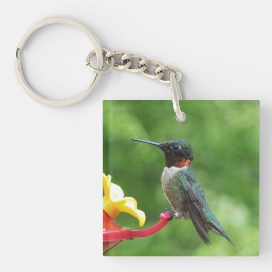 Fotografie van een roodkeelkolibrie sleutelhanger (Voorkant)