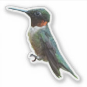 Fotografie van een roodkeelkolibrie sticker (Voorkant)