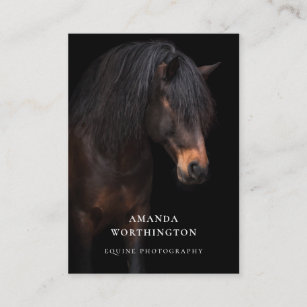 Fotografie van Elegant Horse Equestrian Equine Visitekaartje