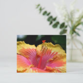 Fotografie van gele hibiscusbloem briefkaart (Staand voorkant)