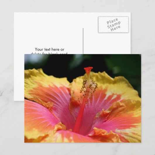 Fotografie van gele hibiscusbloem briefkaart (Voorkant / Achterkant)