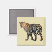 Fotografie van gepotte wilde kat magneet (Voorkant / Achterkant)