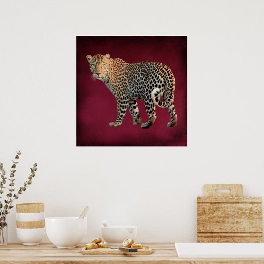 Fotografie van gepotte wilde kat poster (Keuken)