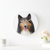 Fotografie van gezelschapsdieren van Shetland Shee Grote Klok (Huis)