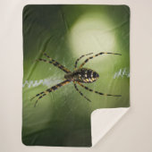 Fotografie van gouden tuinspin sherpa deken (Voorkant)