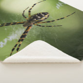 Fotografie van gouden tuinspin sherpa deken (3/4)