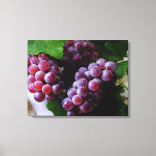 Fotografie van grapevine Fruit Canvas Afdruk