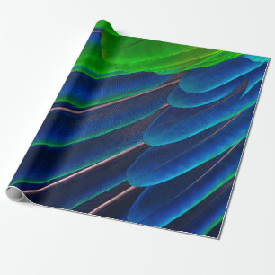 Fotografie van groene en blauwe veren close-up cadeaupapier