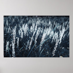 FOTOGRAFIE VAN GROENE PLANT POSTER