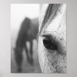 Fotografie van hedendaagse paardenogen poster