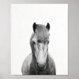 Fotografie van het grijze paard, van het zwarte en poster