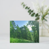 Fotografie van het groene boslandschap briefkaart (Staand voorkant)