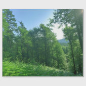 Fotografie van het groene boslandschap cadeaupapier (Vlak)