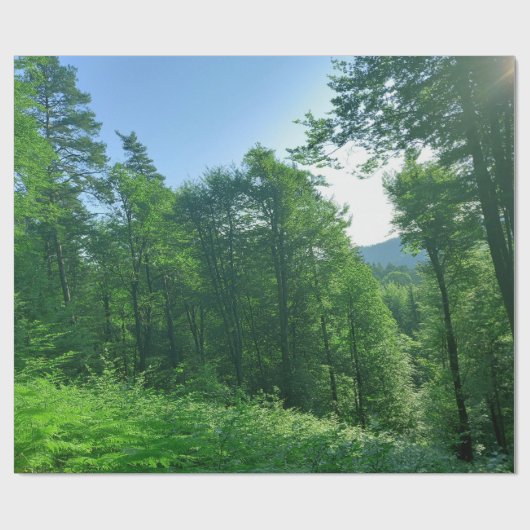 Fotografie van het groene boslandschap cadeaupapier (Vlak)