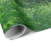 Fotografie van het groene boslandschap cadeaupapier (Rol Hoek)