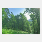Fotografie van het groene boslandschap inpakpapier vel (Voorkant 2)