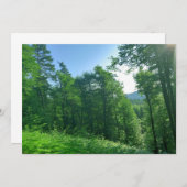 Fotografie van het groene boslandschap kaart (Voorkant / Achterkant)