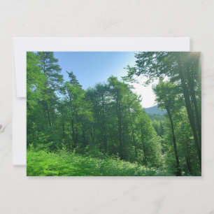 Fotografie van het groene boslandschap kaart