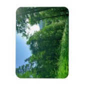 Fotografie van het groene boslandschap magneet (Verticaal)