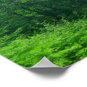 Fotografie van het groene boslandschap poster (Hoek)