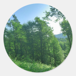 Fotografie van het groene boslandschap ronde sticker
