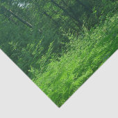 Fotografie van het groene boslandschap tissuepapier (Detail)