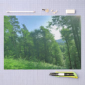 Fotografie van het groene boslandschap tissuepapier (Craft)