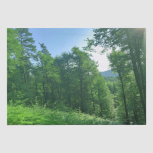Fotografie van het groene boslandschap tissuepapier