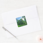 Fotografie van het groene boslandschap vierkante sticker (Envelop)