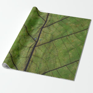 Fotografie van het groene plant blad in close-up cadeaupapier